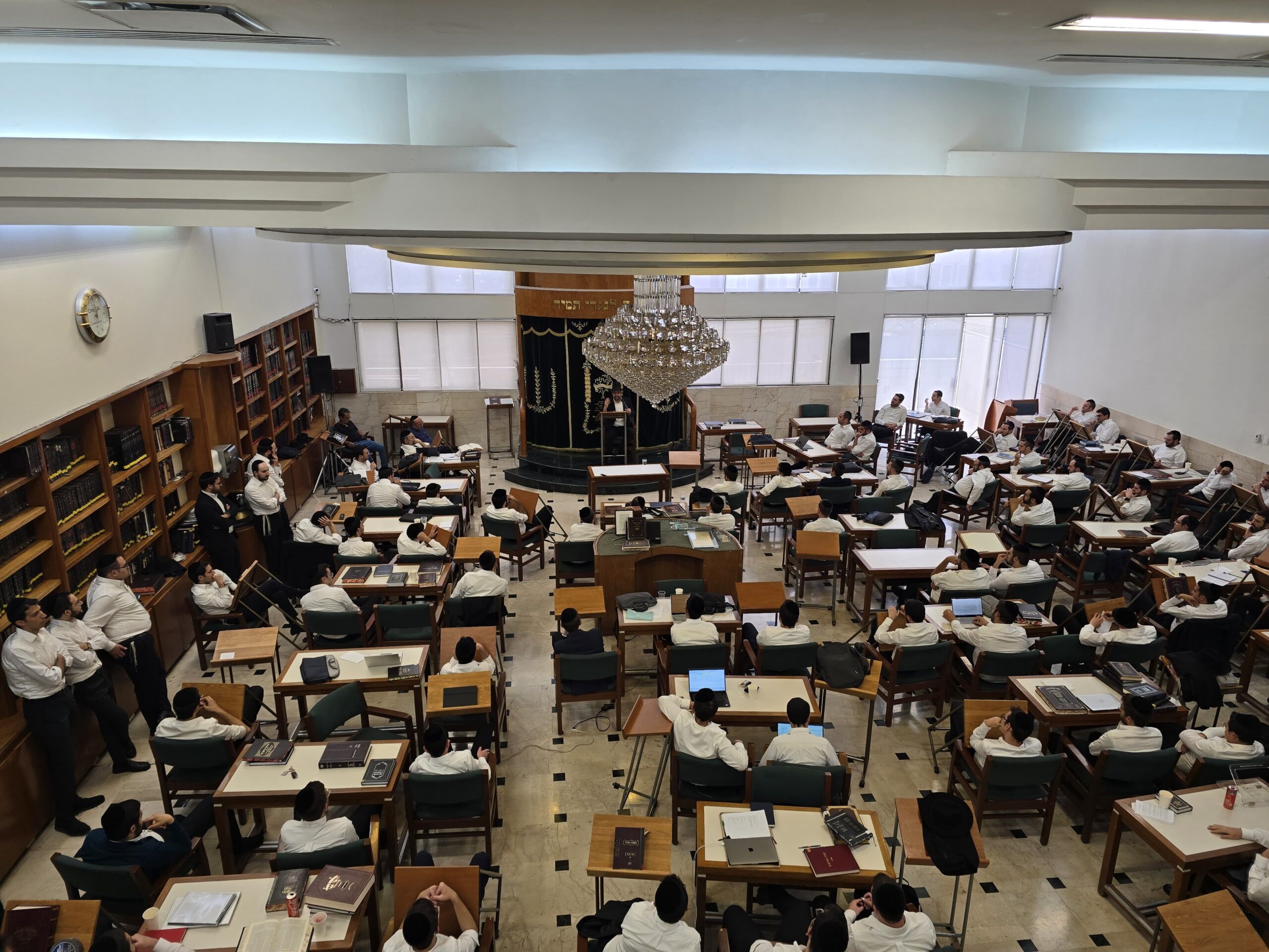 לב מאיר